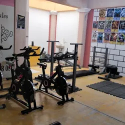 ONLY GYM