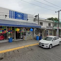 NOVEDADES Y PAPELERÍA EL CISNE