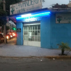 Lavandería Cactus