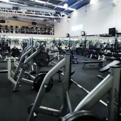 Prince Fitness Club