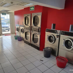 Washas 50% lavandería