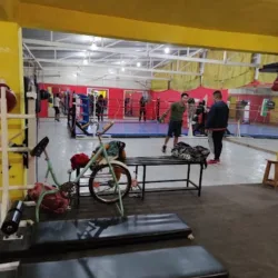 Gym "Lobox"