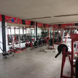 Los 300 GYM