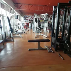Spartanos Gym