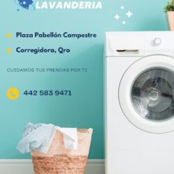 Lavandería Campestre