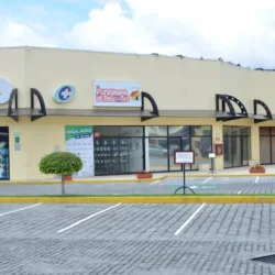 Funeraria de mascotas - Cremación de mascotas