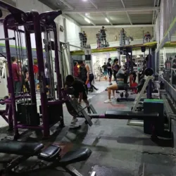 Gym 100 % saludable