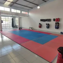 Academia De MMA Cuervos Teziutlan