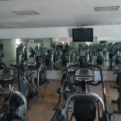 Total Gym