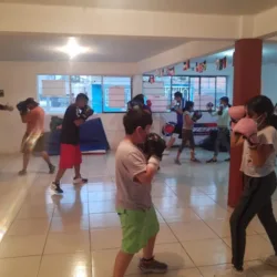 JUNIOR'S BOX CLUB