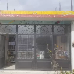 Papeleria y Merceria PAYOLIZ