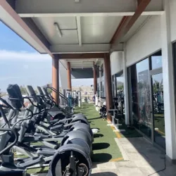 Only workout gym