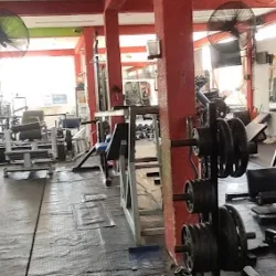 My Gym