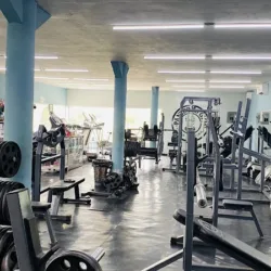 Pantera's gym