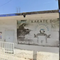 Dojo Liceo Shudokan
