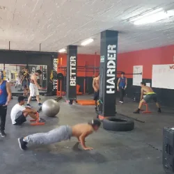 Muscleup Punto Poniente