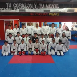 Medina champions club
