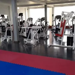 Master Gym