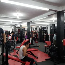 Ares Force Gym