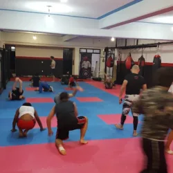 Fighting Bulls Academy