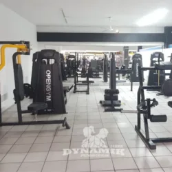 Dynamik Camino Real