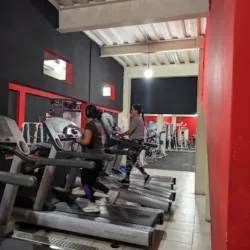 Gym Mamuts