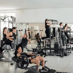 +WKOUT