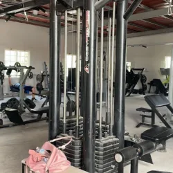ALFA GYM