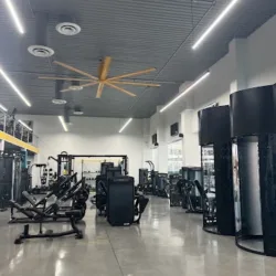 Every Day Gym 24/7 Mivia lola