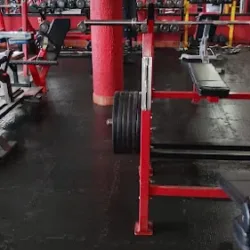 ROBERT GYM