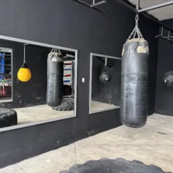 Zikar - BOXGYM - palenque de campeones