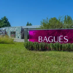 Bagués
