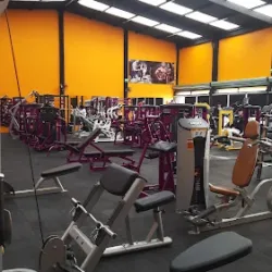 Arnold fitness