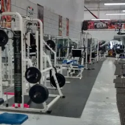Academia de Gimnasia Olimpica Torreon