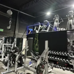 Panther gym