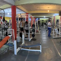 Pedro's GYM