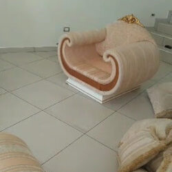 VAPOREX Ultra Limpieza Profesional de Alfombras y Muebles Finos