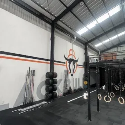 Black Bull Cross Training