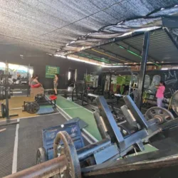 Punto Fit