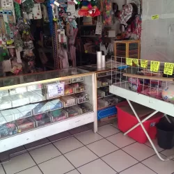 Papelería y mercerías del sur