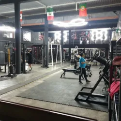 Gallo Gym Pabellon