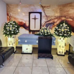 Vida Memorial Previsiones