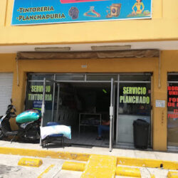 Lavandería del Bosque
