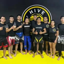 ONE mma center