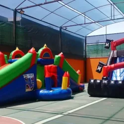 La Hormiga Play | Renta de Inflables | Renta de Brincolines