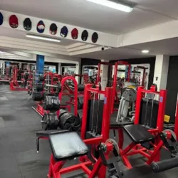 GYM BODY WORK VALLE DORADO
