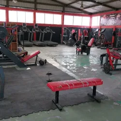 Bull´s Gym