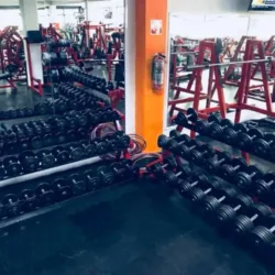 BODY ELEMENT Life Style GYM