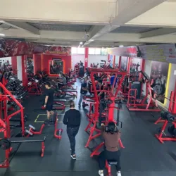 Legion Spartan Gym
