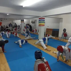 ACADEMIA DE ARTES MARCIALES NEVER BACK DOWN
